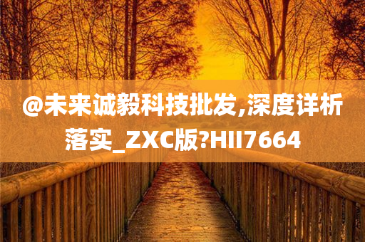 @未来诚毅科技批发,深度详析落实_ZXC版?HII7664