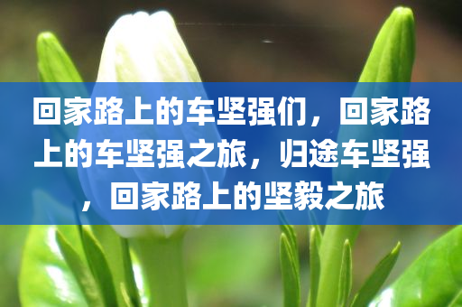 回家路上的车坚强们，回家路上的车坚强之旅，归途车坚强，回家路上的坚毅之旅