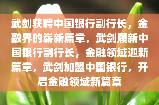 武剑获聘中国银行副行长，金融界的崭新篇章，武剑履新中国银行副行长，金融领域迎新篇章，武剑加盟中国银行，开启金融领域新篇章