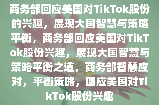 商务部回应美国对TikTok股份的兴趣，展现大国智慧与策略平衡，商务部回应美国对TikTok股份兴趣，展现大国智慧与策略平衡之道，商务部智慧应对，平衡策略，回应美国对TikTok股份兴趣