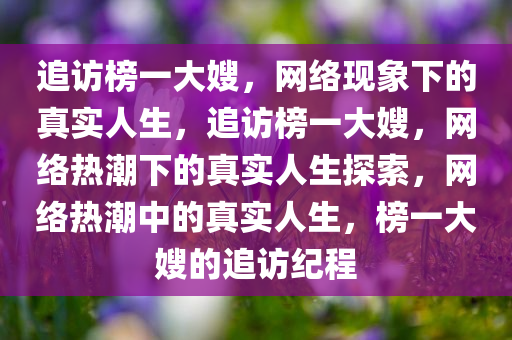 追访榜一大嫂，网络现象下的真实人生，追访榜一大嫂，网络热潮下的真实人生探索，网络热潮中的真实人生，榜一大嫂的追访纪程