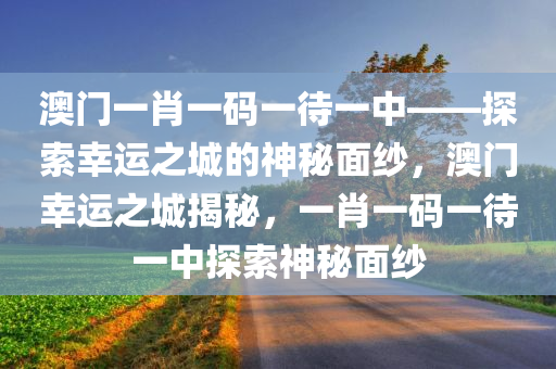 澳门一肖一码一待一中——探索幸运之城的神秘面纱，澳门幸运之城揭秘，一肖一码一待一中探索神秘面纱