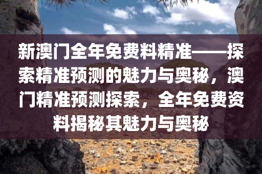 新澳门全年免费料精准——探索精准预测的魅力与奥秘，澳门精准预测探索，全年免费资料揭秘其魅力与奥秘