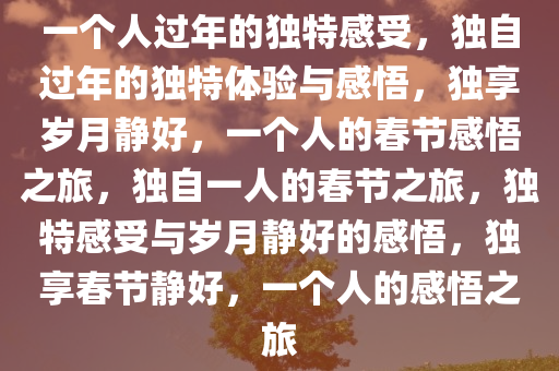 一个人过年的独特感受，独自过年的独特体验与感悟，独享岁月静好，一个人的春节感悟之旅，独自一人的春节之旅，独特感受与岁月静好的感悟，独享春节静好，一个人的感悟之旅