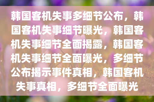 韩国客机失事多细节公布，韩国客机失事细节曝光，韩国客机失事细节全面揭露，韩国客机失事细节全面曝光，多细节公布揭示事件真相，韩国客机失事真相，多细节全面曝光