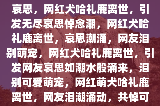 网红犬哈礼鹿离世，留下无尽哀思，网红犬哈礼鹿离世，引发无尽哀思悼念潮，网红犬哈礼鹿离世，哀思潮涌，网友泪别萌宠，网红犬哈礼鹿离世，引发网友哀思如潮水般涌来，泪别可爱萌宠，网红萌犬哈礼鹿离世，网友泪潮涌动，共悼可爱生命