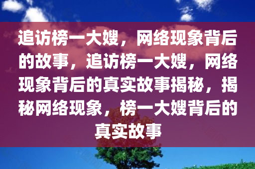 追访榜一大嫂，网络现象背后的故事，追访榜一大嫂，网络现象背后的真实故事揭秘，揭秘网络现象，榜一大嫂背后的真实故事