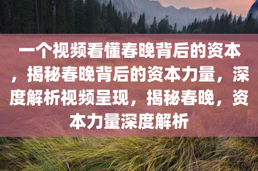 一个视频看懂春晚背后的资本，揭秘春晚背后的资本力量，深度解析视频呈现，揭秘春晚，资本力量深度解析