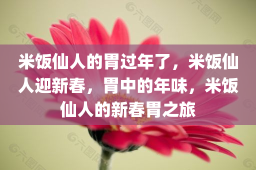 米饭仙人的胃过年了，米饭仙人迎新春，胃中的年味，米饭仙人的新春胃之旅