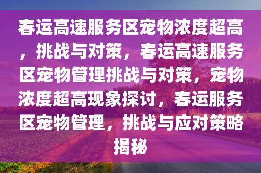 春运高速服务区宠物浓度超高，挑战与对策，春运高速服务区宠物管理挑战与对策，宠物浓度超高现象探讨，春运服务区宠物管理，挑战与应对策略揭秘