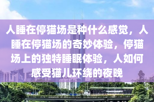 人睡在停猫场是种什么感觉，人睡在停猫场的奇妙体验，停猫场上的独特睡眠体验，人如何感受猫儿环绕的夜晚