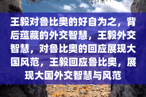 王毅对鲁比奥的好自为之，背后蕴藏的外交智慧，王毅外交智慧，对鲁比奥的回应展现大国风范，王毅回应鲁比奥，展现大国外交智慧与风范