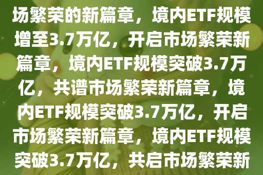 境内ETF增至3.7万亿