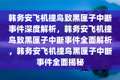 韩务安飞机撞鸟致黑匣子中断事件深度解析，韩务安飞机撞鸟致黑匣子中断事件全面解析，韩务安飞机撞鸟黑匣子中断事件全面揭秘