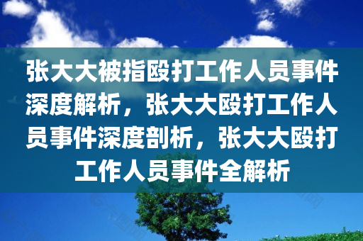 张大大被指殴打工作人员事件深度解析，张大大殴打工作人员事件深度剖析，张大大殴打工作人员事件全解析