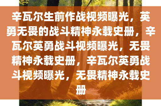 辛瓦尔生前作战视频曝光，英勇无畏的战斗精神永载史册，辛瓦尔英勇战斗视频曝光，无畏精神永载史册，辛瓦尔英勇战斗视频曝光，无畏精神永载史册