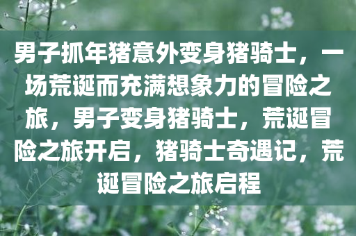 男子抓年猪意外变身猪骑士，一场荒诞而充满想象力的冒险之旅，男子变身猪骑士，荒诞冒险之旅开启，猪骑士奇遇记，荒诞冒险之旅启程