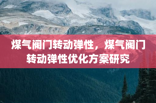 煤气阀门转动弹性，煤气阀门转动弹性优化方案研究今晚必出三肖2025_2025新澳门精准免费提供·精确判断