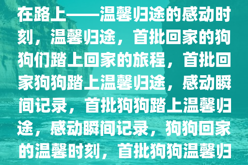 第一批过年回家的狗狗们已经在路上——温馨归途的感动时刻，温馨归途，首批回家的狗狗们踏上回家的旅程，首批回家狗狗踏上温馨归途，感动瞬间记录，首批狗狗踏上温馨归途，感动瞬间记录，狗狗回家的温馨时刻，首批狗狗温馨归途，感动瞬间记录