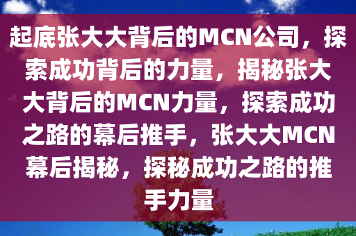 起底张大大背后的MCN公司，探索成功背后的力量，揭秘张大大背后的MCN力量，探索成功之路的幕后推手，张大大MCN幕后揭秘，探秘成功之路的推手力量