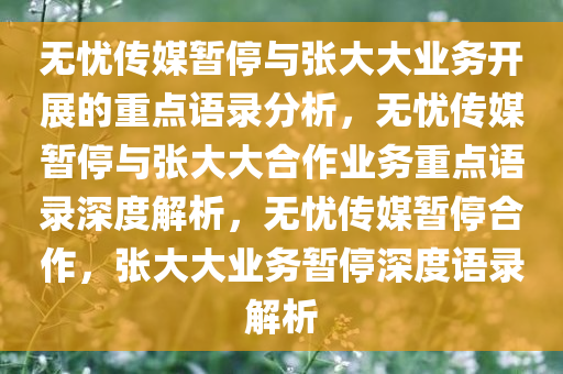 无忧传媒暂停与张大大业务开展的重点语录分析，无忧传媒暂停与张大大合作业务重点语录深度解析，无忧传媒暂停合作，张大大业务暂停深度语录解析