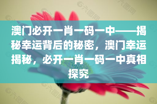 澳门必开一肖一码一中——揭秘幸运背后的秘密，澳门幸运揭秘，必开一肖一码一中真相探究