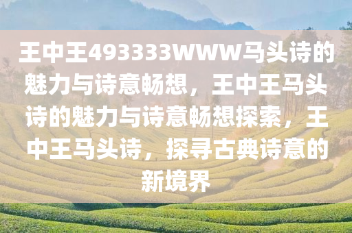 王中王493333WWW马头诗的魅力与诗意畅想，王中王马头诗的魅力与诗意畅想探索，王中王马头诗，探寻古典诗意的新境界