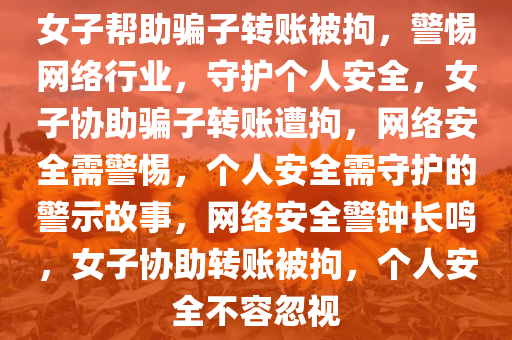 女子帮助骗子转账被拘，警惕网络行业，守护个人安全，女子协助骗子转账遭拘，网络安全需警惕，个人安全需守护的警示故事，网络安全警钟长鸣，女子协助转账被拘，个人安全不容忽视