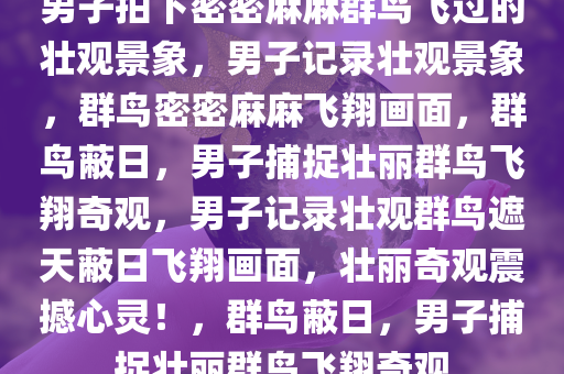 男子拍下密密麻麻群鸟飞过的壮观景象，男子记录壮观景象，群鸟密密麻麻飞翔画面，群鸟蔽日，男子捕捉壮丽群鸟飞翔奇观，男子记录壮观群鸟遮天蔽日飞翔画面，壮丽奇观震撼心灵！，群鸟蔽日，男子捕捉壮丽群鸟飞翔奇观