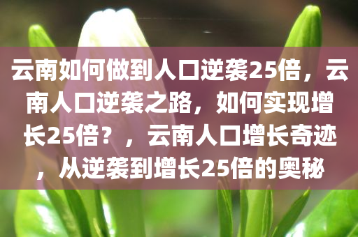 云南如何做到人口逆袭25倍，云南人口逆袭之路，如何实现增长25倍？，云南人口增长奇迹，从逆袭到增长25倍的奥秘