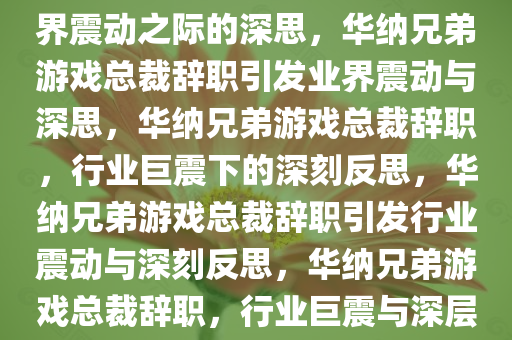 华纳兄弟游戏总裁将辞职，业界震动之际的深思，华纳兄弟游戏总裁辞职引发业界震动与深思，华纳兄弟游戏总裁辞职，行业巨震下的深刻反思，华纳兄弟游戏总裁辞职引发行业震动与深刻反思，华纳兄弟游戏总裁辞职，行业巨震与深层反思