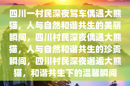 四川一村民深夜驾车偶遇大熊猫，人与自然和谐共生的美丽瞬间，四川村民深夜偶遇大熊猫，人与自然和谐共生的珍贵瞬间，四川村民深夜邂逅大熊猫，和谐共生下的温馨瞬间