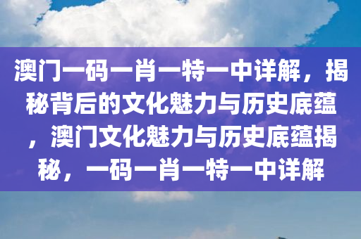 澳门一码一肖一特一中详解，揭秘背后的文化魅力与历史底蕴，澳门文化魅力与历史底蕴揭秘，一码一肖一特一中详解