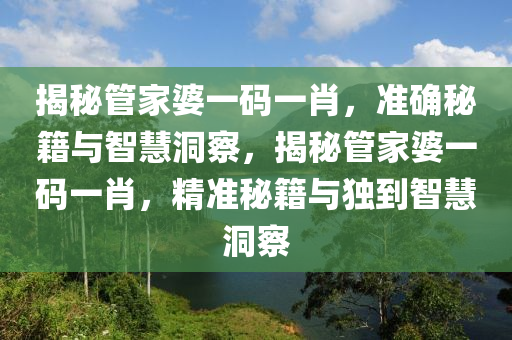 揭秘管家婆一码一肖，准确秘籍与智慧洞察，揭秘管家婆一码一肖，精准秘籍与独到智慧洞察