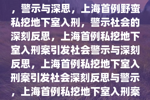 上海首例野蛮私挖地下室入刑，警示与深思，上海首例野蛮私挖地下室入刑，警示社会的深刻反思，上海首例私挖地下室入刑案引发社会警示与深刻反思，上海首例私挖地下室入刑案引发社会深刻反思与警示，上海首例私挖地下室入刑案，社会警示与深刻反思