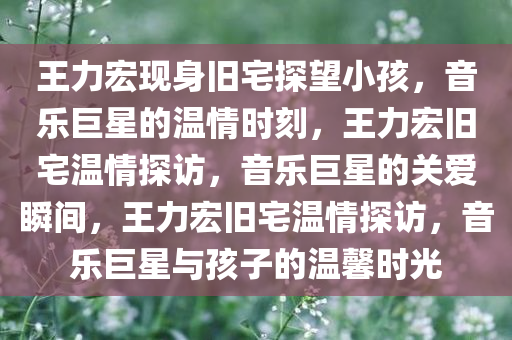 王力宏现身旧宅探望小孩，音乐巨星的温情时刻，王力宏旧宅温情探访，音乐巨星的关爱瞬间，王力宏旧宅温情探访，音乐巨星与孩子的温馨时光