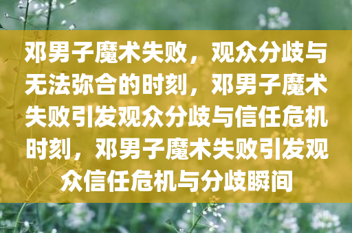 邓男子魔术失败，观众分歧与无法弥合的时刻，邓男子魔术失败引发观众分歧与信任危机时刻，邓男子魔术失败引发观众信任危机与分歧瞬间