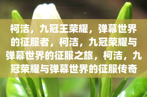 柯洁，九冠王荣耀，弹幕世界的征服者，柯洁，九冠荣耀与弹幕世界的征服之旅，柯洁，九冠荣耀与弹幕世界的征服传奇