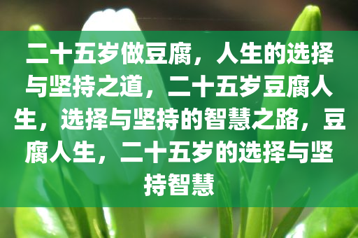 二十五岁做豆腐，人生的选择与坚持之道，二十五岁豆腐人生，选择与坚持的智慧之路，豆腐人生，二十五岁的选择与坚持智慧