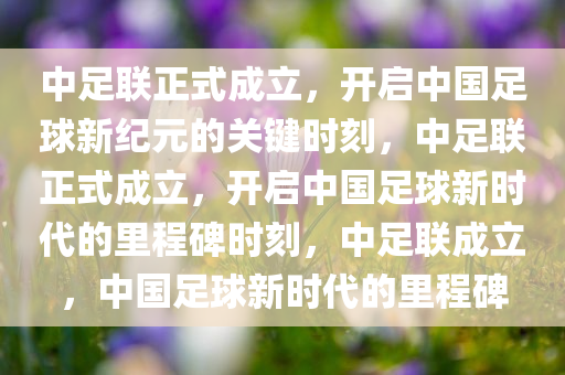 中足联正式成立，开启中国足球新纪元的关键时刻，中足联正式成立，开启中国足球新时代的里程碑时刻，中足联成立，中国足球新时代的里程碑