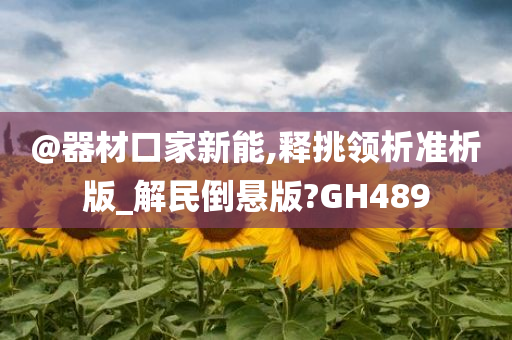 @器材口家新能,释挑领析准析版_解民倒悬版?GH489