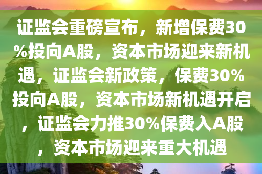 证监会重磅宣布，新增保费30%投向A股，资本市场迎来新机遇，证监会新政策，保费30%投向A股，资本市场新机遇开启，证监会力推30%保费入A股，资本市场迎来重大机遇