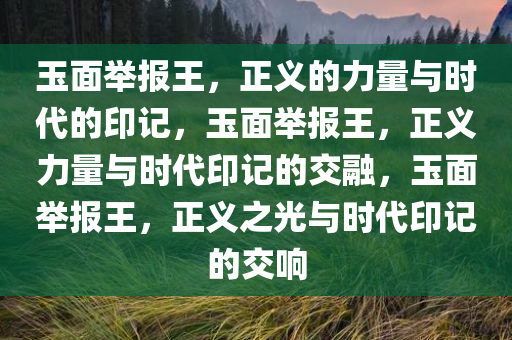 玉面举报王，正义的力量与时代的印记，玉面举报王，正义力量与时代印记的交融，玉面举报王，正义之光与时代印记的交响