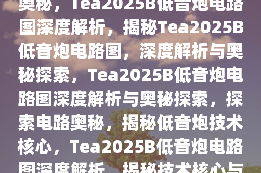 tea2025b低音炮电路图