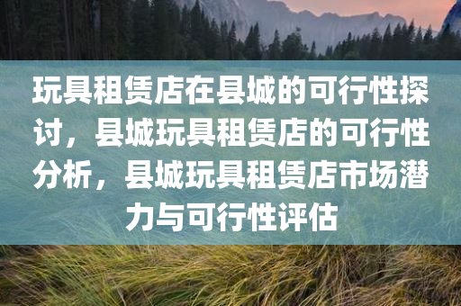 玩具租赁店在县城的可行性探讨，县城玩具租赁店的可行性分析，县城玩具租赁店市场潜力与可行性评估