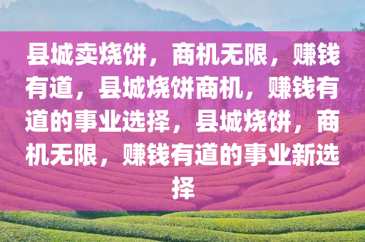 县城卖烧饼，商机无限，赚钱有道，县城烧饼商机，赚钱有道的事业选择，县城烧饼，商机无限，赚钱有道的事业新选择