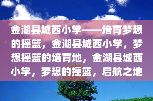 金湖县城西小学——培育梦想的摇篮，金湖县城西小学，梦想摇篮的培育地，金湖县城西小学，梦想的摇篮，启航之地