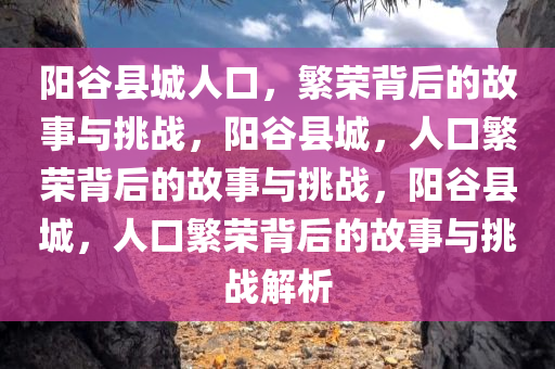 阳谷县城人口，繁荣背后的故事与挑战，阳谷县城，人口繁荣背后的故事与挑战，阳谷县城，人口繁荣背后的故事与挑战解析