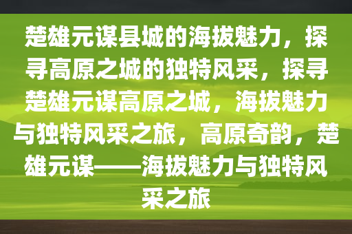 楚雄元谋县城的海拔魅力，探寻高原之城的独特风采，探寻楚雄元谋高原之城，海拔魅力与独特风采之旅，高原奇韵，楚雄元谋——海拔魅力与独特风采之旅