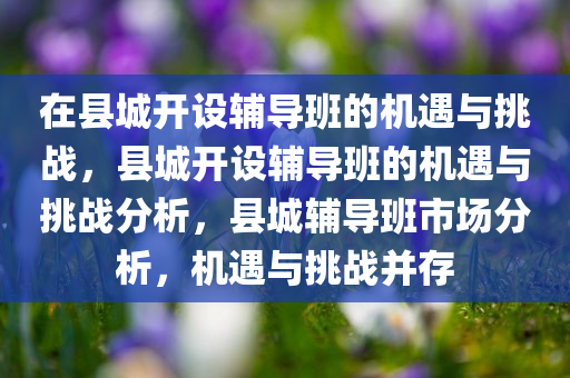 在县城开设辅导班的机遇与挑战，县城开设辅导班的机遇与挑战分析，县城辅导班市场分析，机遇与挑战并存